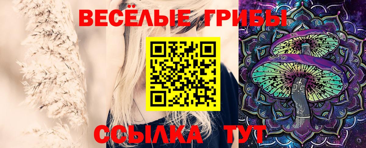 Псилоцибиновые грибы Psilocybe Уссурийск